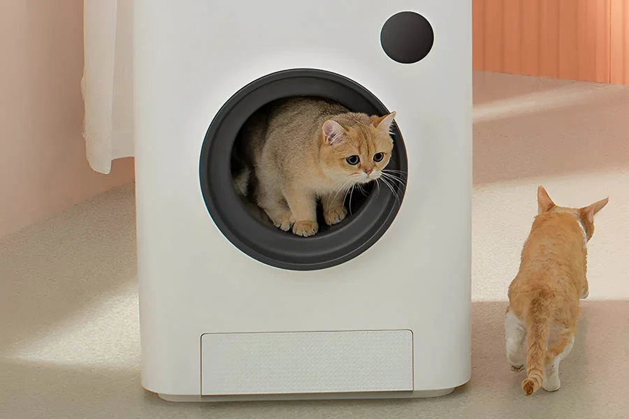 self-cleaning cat litter