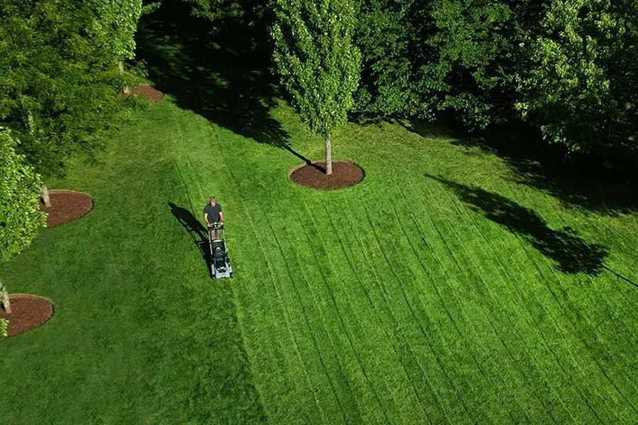 best rated electric mowers